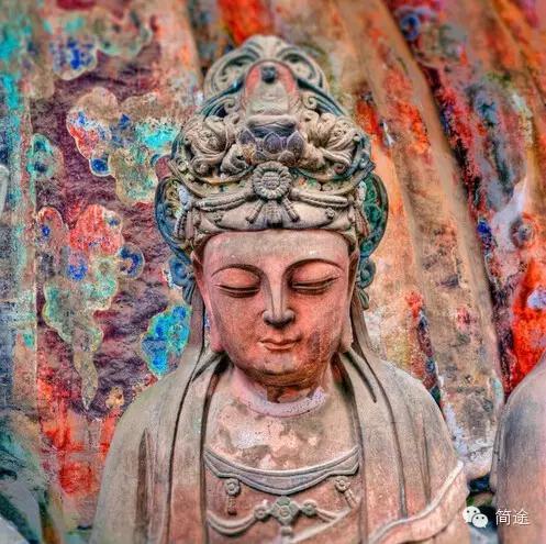 重庆生物地理答案,重庆水土生物研究