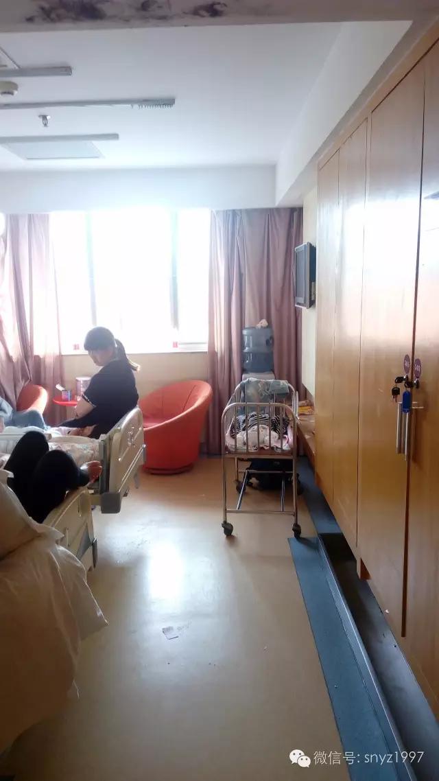 抱着代孕新生儿踏进父母家,同志奶爸瞬间泪崩