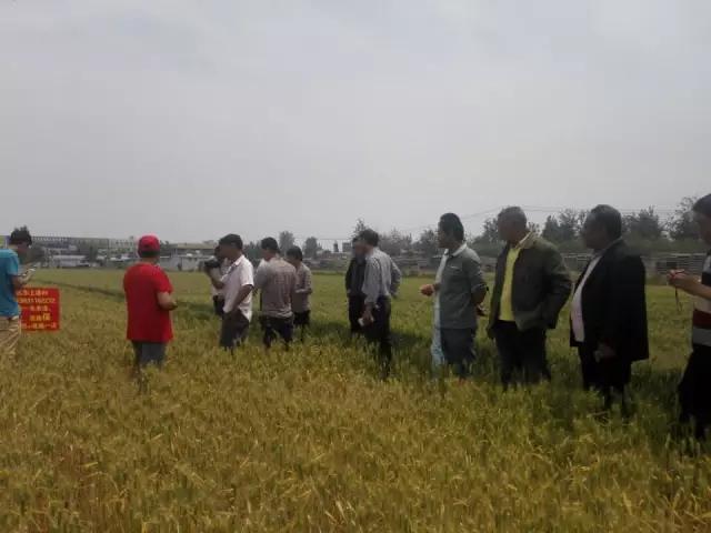 520大爱，西贝隆基带你找回小时候的味道，唇齿间甘甜如饴