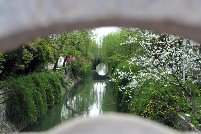 一句话证明你是人,一句话证明是不是真正的中国人