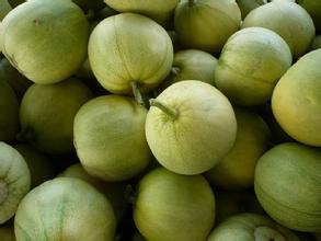 甜瓜到底是毒瓜吗,甜瓜又叫香瓜吗