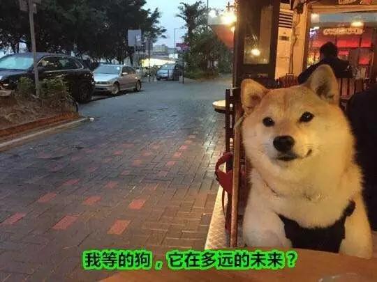 浙就那么说|在这个适宜表白的日子，我选择放弃你