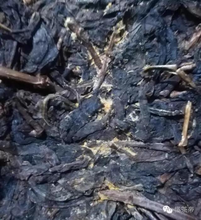 发酵金花黑茶怎么做,黑茶的金花是什么东西做的