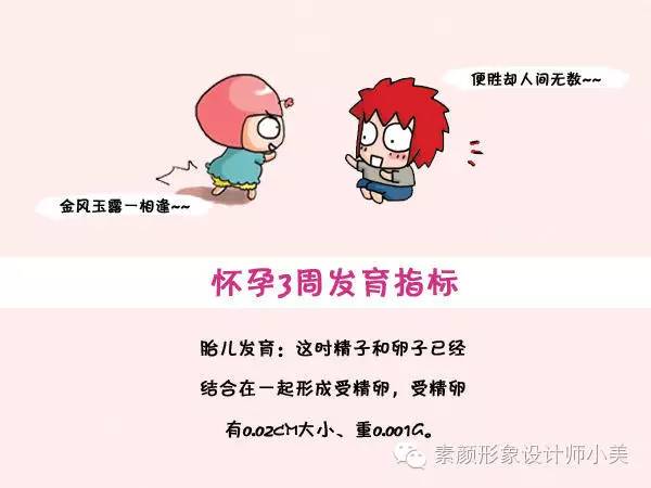 孕育宝宝整个过程和母体的变化,怀孕每周胎儿发育图及注意事项