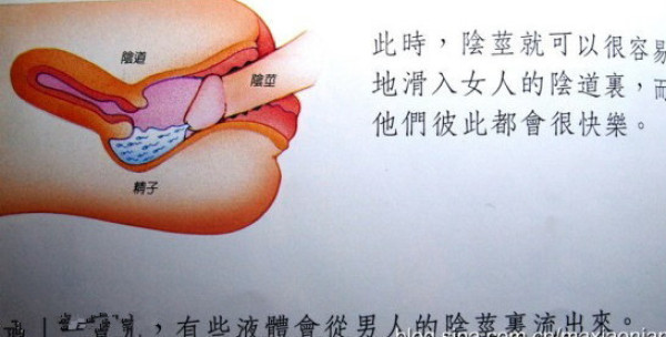 儿童性教育启蒙问题家长如何应对,教育孩子尴尬的事情