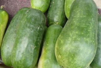 冬瓜皮治血糖高吗,冬瓜皮治糖尿病的偏方