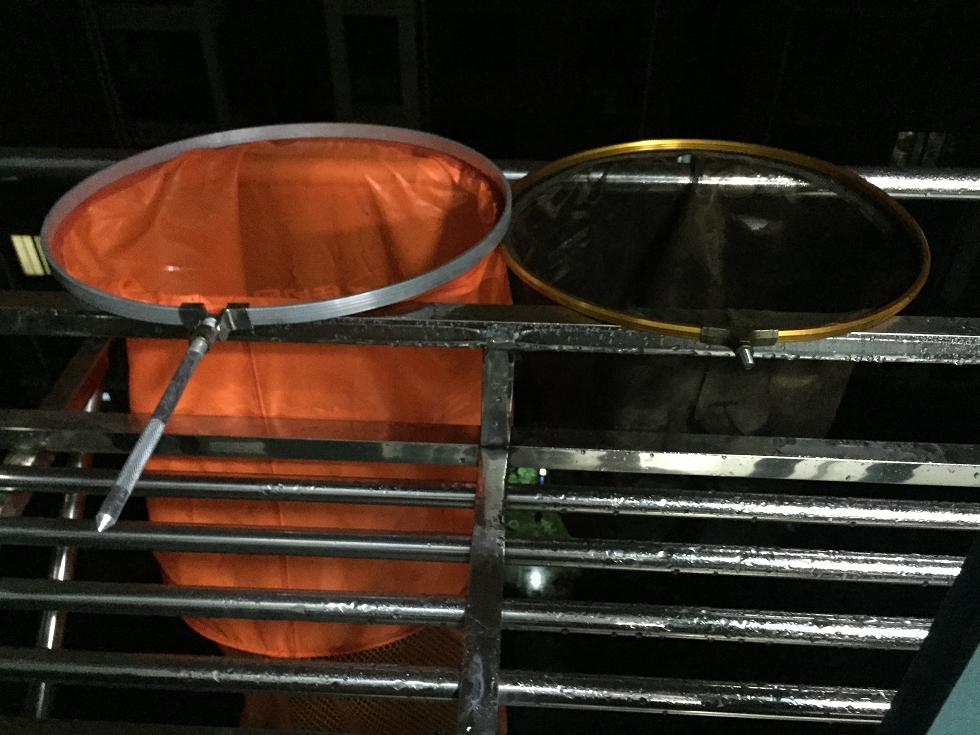 野钓风浪大钓鳊鱼,仲春如何野钓鳊鱼