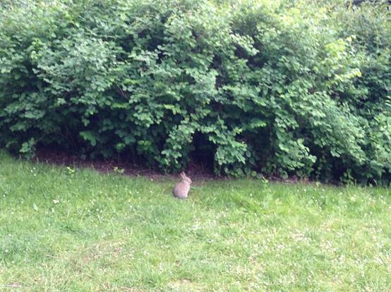 施华洛世奇白天鹅10年,马尔默全集完整版