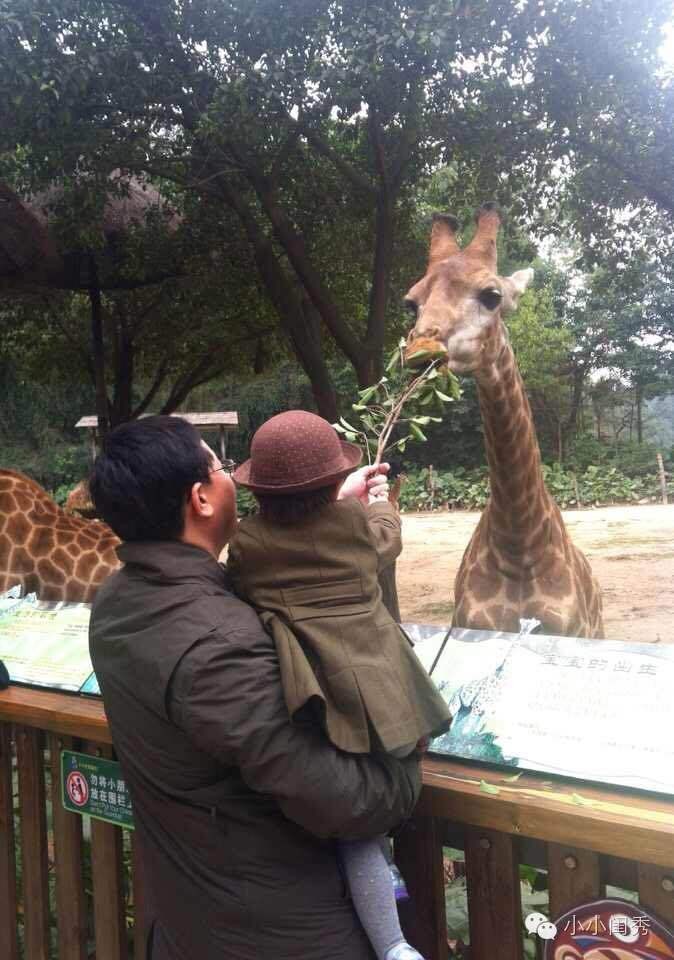 带孩子广州长隆旅游攻略,长隆动物乐园多长时间可以逛完