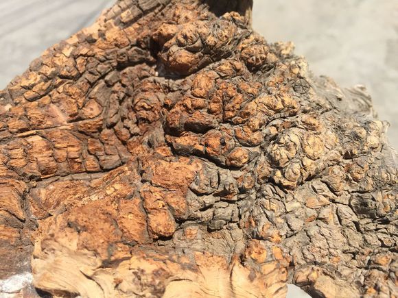 崖柏毛料,收崖柏毛料