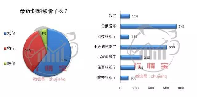 养猪人如何应对猪价变化,养猪新政策最近猪价