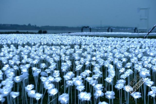今日武汉｜别用一次性手套抓小龙虾吃；拼团疑遇套取个人信息