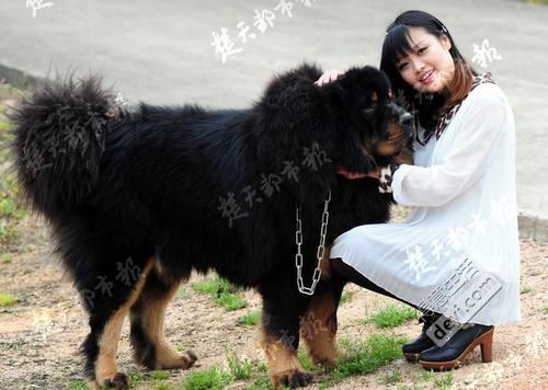 今日武汉｜别用一次性手套抓小龙虾吃；拼团疑遇套取个人信息