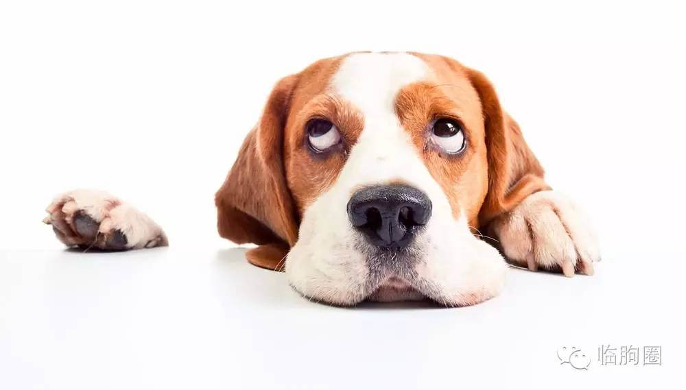 临朐人人品怎样,临朐人咋样