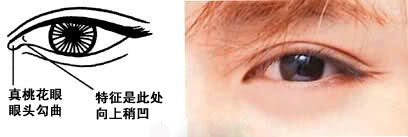 桃花眼是公认最漂亮的吗,桃花眼最迷人