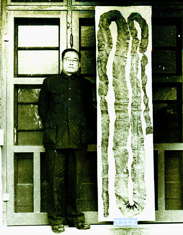 紫菜堪称海藻之王，但潮汕人为什么要说“浪险过打紫菜”呢？