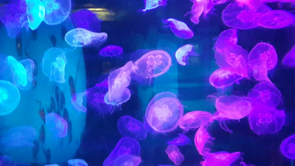 合肥下雨天能带宝宝玩的地方,下雨天合肥