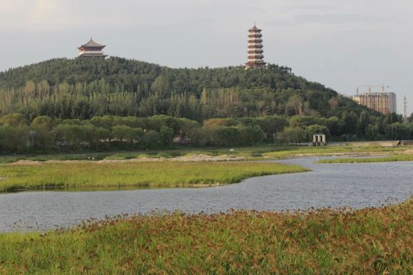 临朐人真实感受,临朐人看寿光