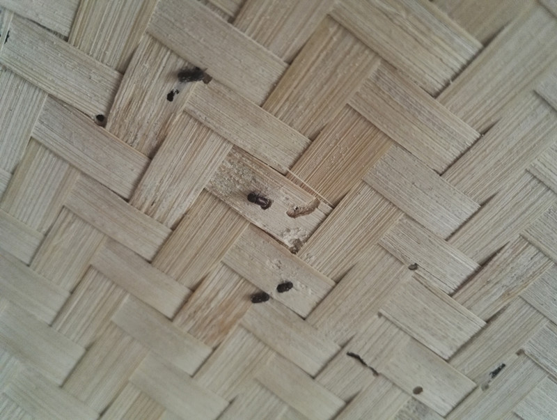 竹编的东西会生虫怎么办,竹编制品有虫子怎么治理