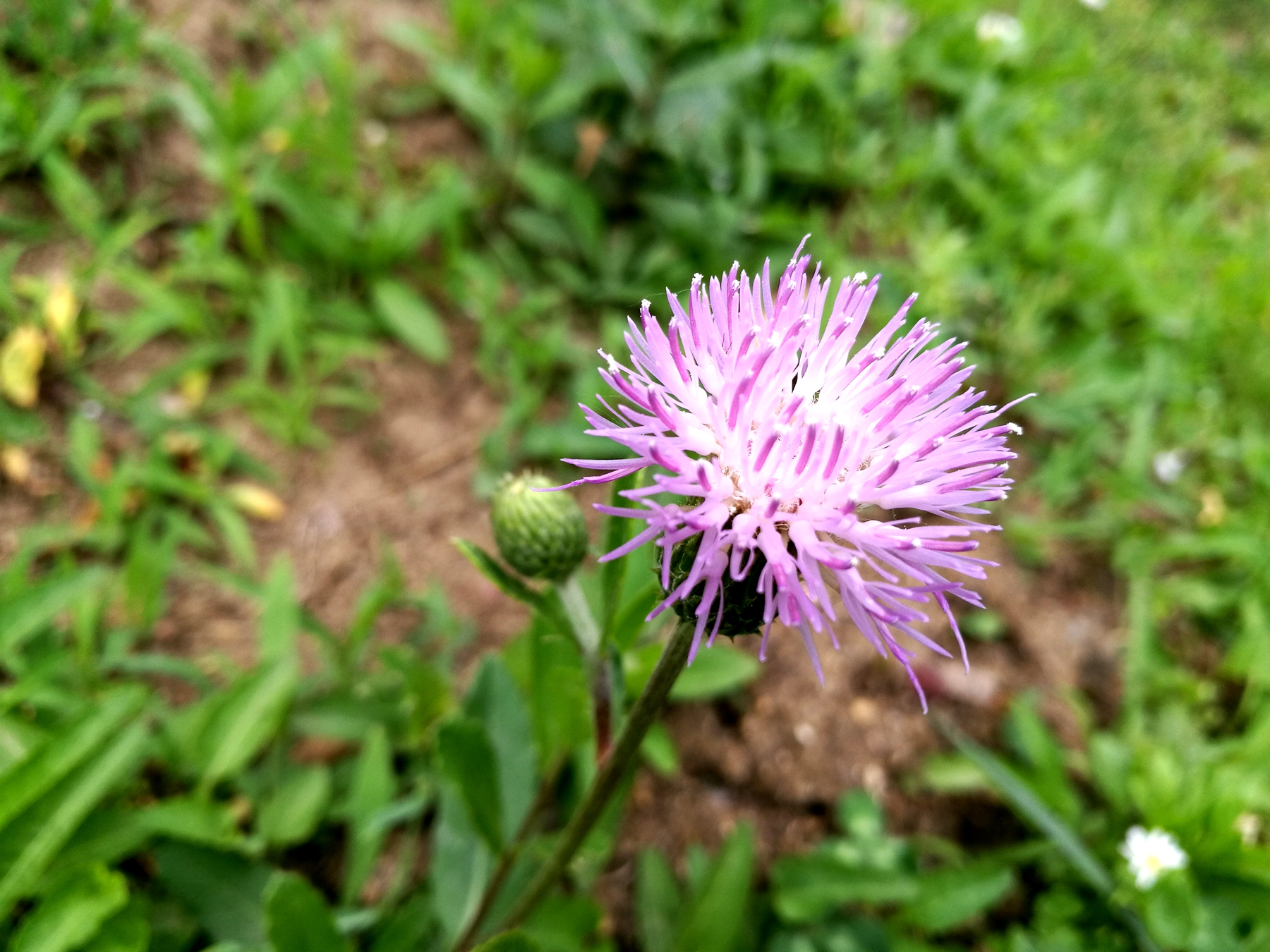 荣耀v8全面测评,荣耀v8前后对比