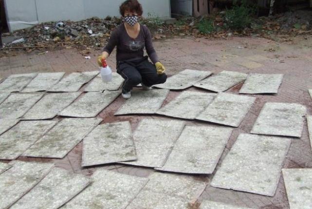 鸽毛滴虫病预防工作,信鸽毛滴虫治疗方法