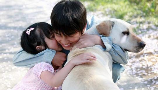 导盲犬小q动漫片影评,导盲犬小q电影总结