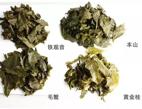 给推荐一款好点的正味铁观音,正味铁观音和品鉴铁观音