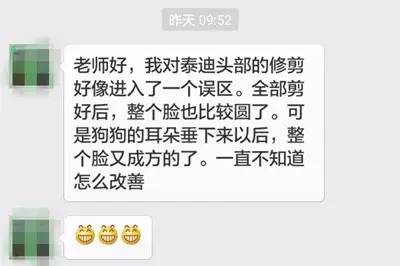 泰迪装修剪：耳朵放下来脸就变形怎么办？