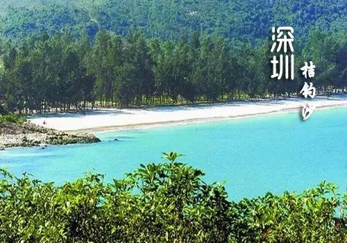 深圳西涌露营要预约吗,深圳人不去的地方