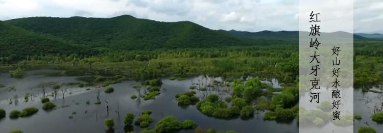 尼勒克黑蜂自然保护区,东北黑蜂自然保护区