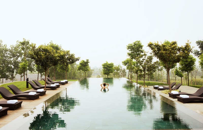 棣欐鍒搴﹀亣閰掑簵,鍗椾含棣欐鍗庤嫻閰掑簵浠嬬粛