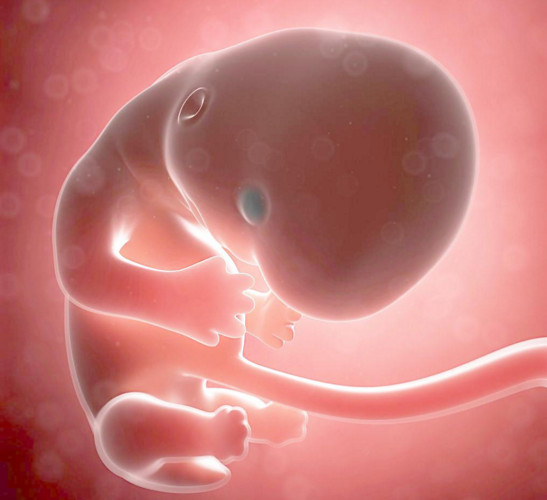 科学无法解释的佛教现象,颠覆世界观的科学