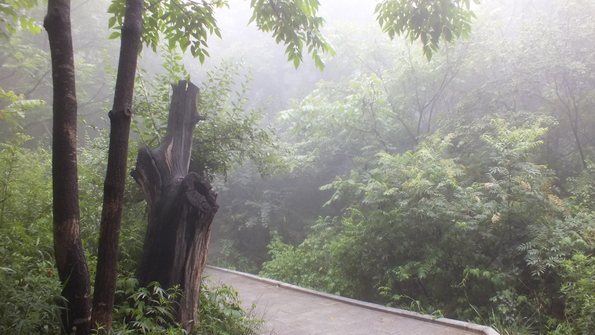 雨中的长白山美景描写,雨中天池