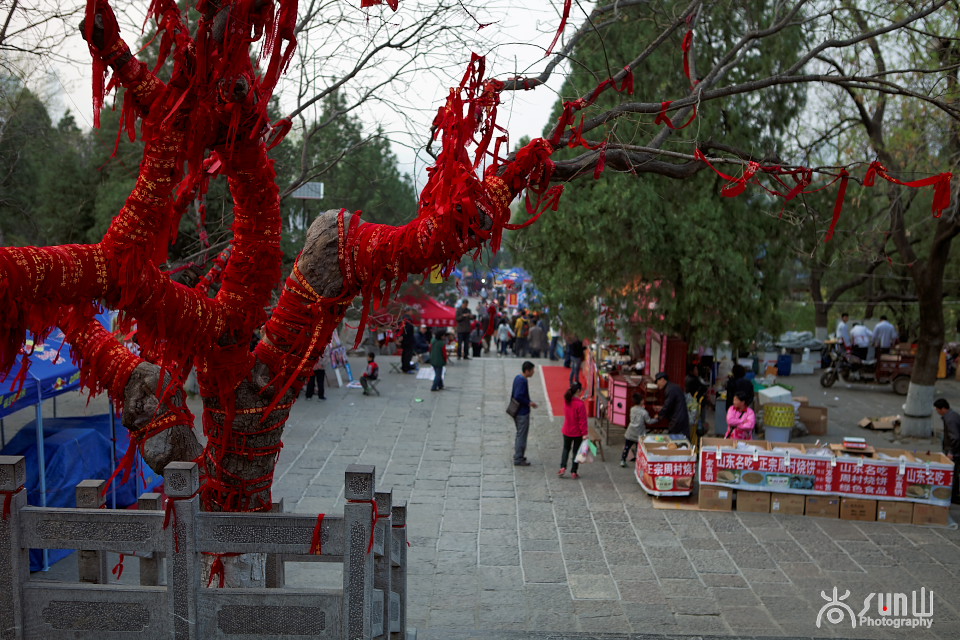 为什么古树都要拴红绳,往古树上拴红绳什么意思