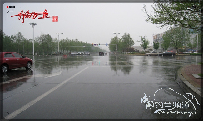 风雨无阻之我爱飞鱼去‘*欢寻**’!