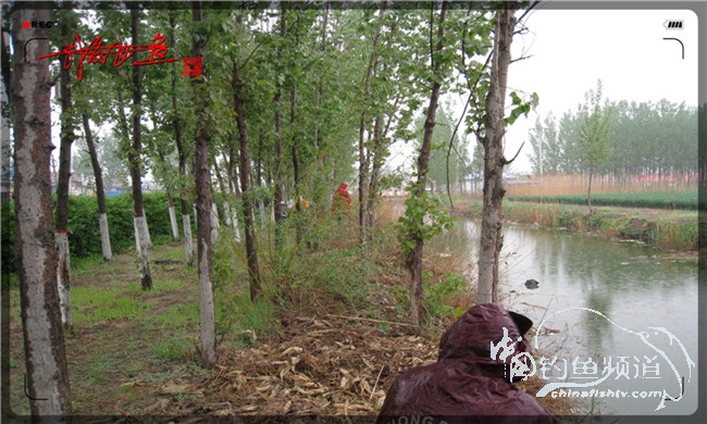 风雨无阻之我爱飞鱼去‘*欢寻**’!