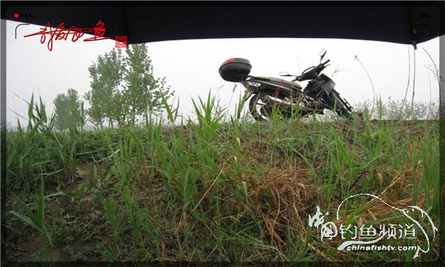 风雨无阻之我爱飞鱼去‘*欢寻**’!