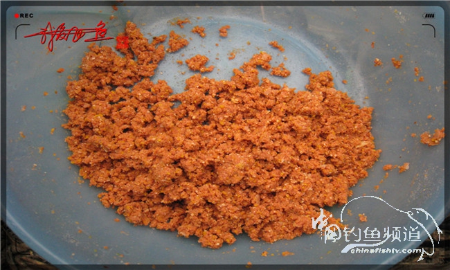 风雨无阻之我爱飞鱼去‘*欢寻**’!