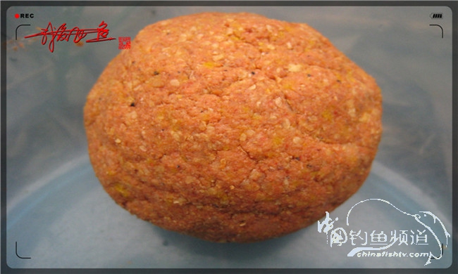 风雨无阻之我爱飞鱼去‘*欢寻**’!