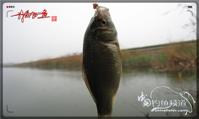 风雨无阻之我爱飞鱼去‘*欢寻**’!