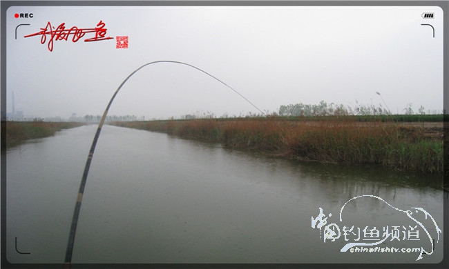 风雨无阻之我爱飞鱼去‘*欢寻**’!