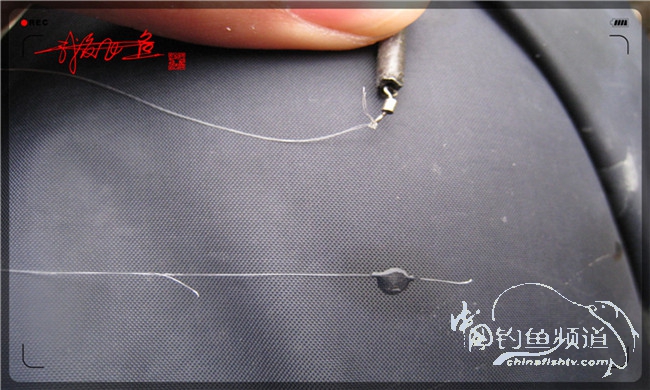 风雨无阻之我爱飞鱼去‘*欢寻**’!