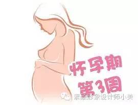 孕育宝宝整个过程和母体的变化,怀孕每周胎儿发育图及注意事项