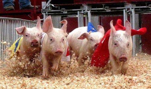 史上最奇葩的体育赛事,世界趣味体育赛事