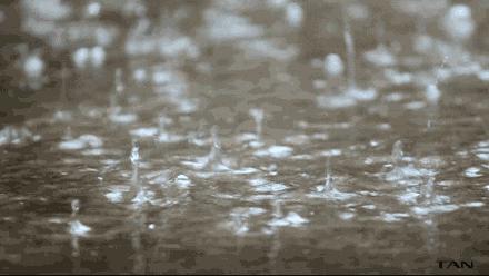 合肥适合下雨天去游玩的地方,合肥下雨去哪旅游最合适