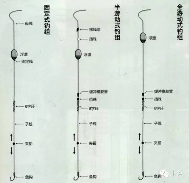你离海钓只有一篇文章的距离