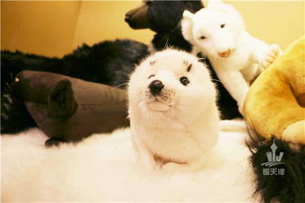 诚品书店要逛多久,诚品书店大概逛多久