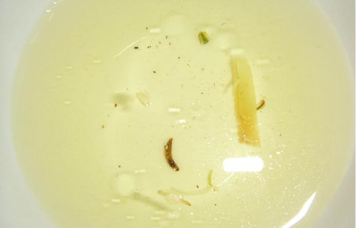 茶叶里“长虫”,你还能喝得下去吗?