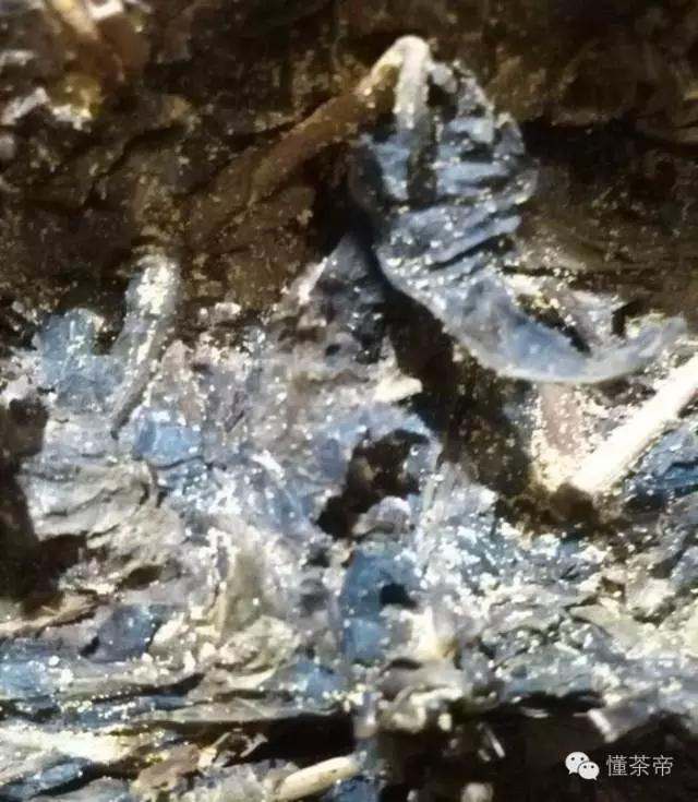 发酵金花黑茶怎么做,黑茶的金花是什么东西做的