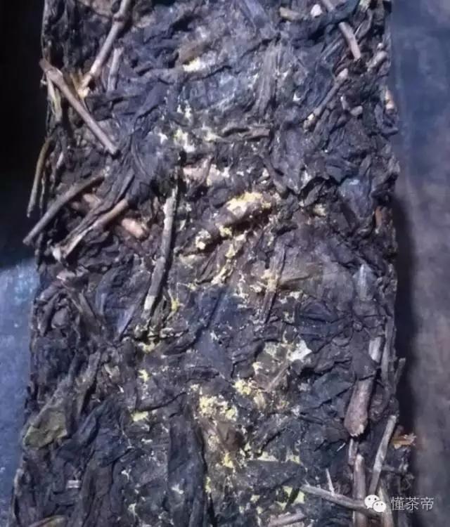 发酵金花黑茶怎么做,黑茶的金花是什么东西做的